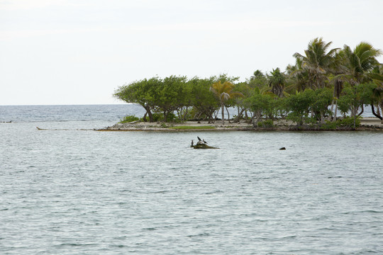 碧海蓝天的美景