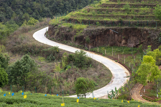 山路