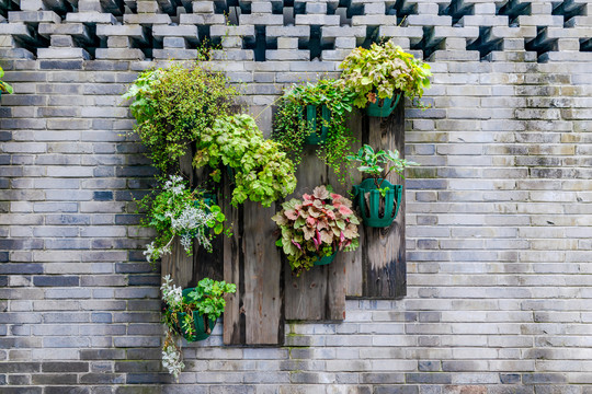 青砖墙与园林景观花卉