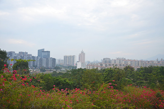 城市更新