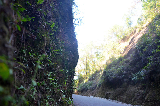 山间道路