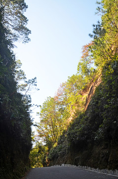 山间道路