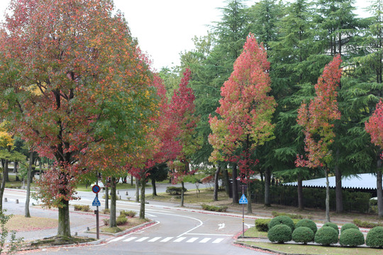 日本石川金泽城堡世界著名古迹