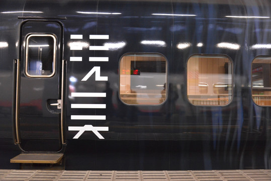 日本新潟县的列车