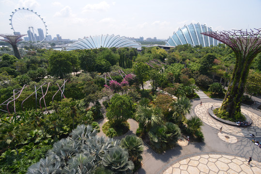 新加坡滨海湾美景