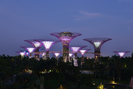 滨海湾夜景；新加坡