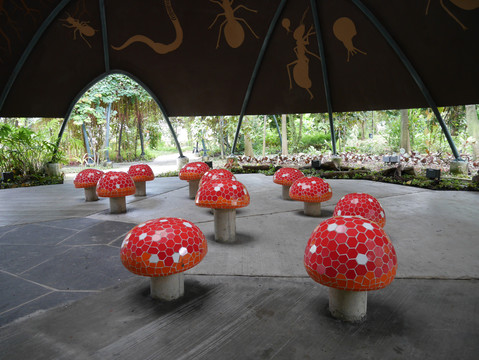 蘑菇装饰