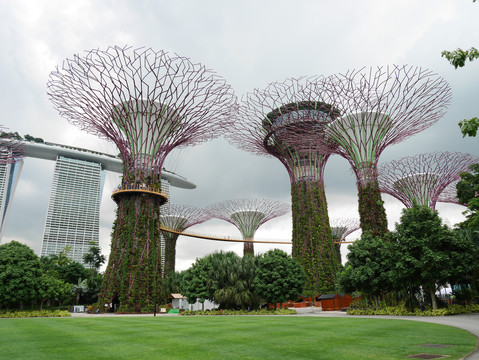 新加坡海湾花园日景