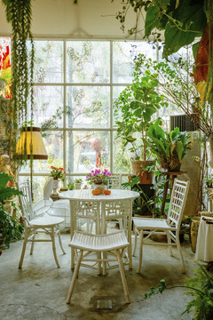 带植物的客厅