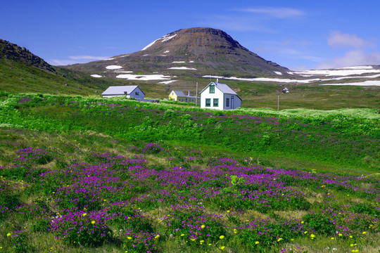 冰岛霍恩斯特兰迪尔国家公园