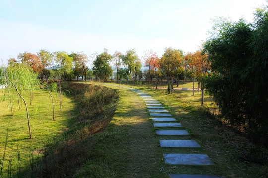 滨江公园休闲步道