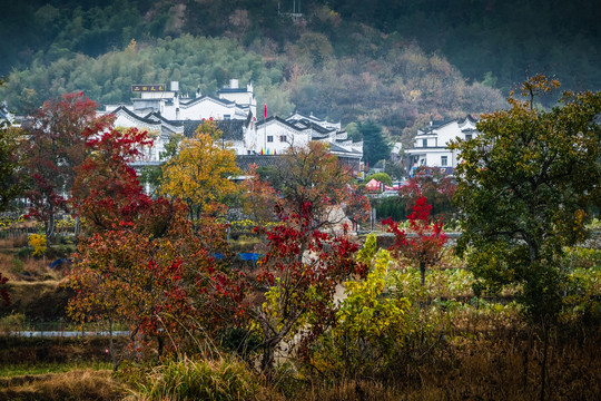 圣人堂民居红叶