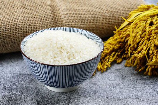 大米香米粮食