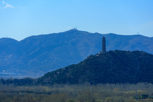 颐和园玉泉峰玉峰塔柳林蓝天