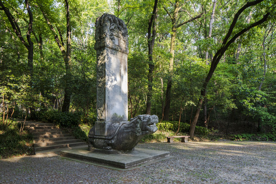 灵谷寺岁寒三友广场石雕和挂龙松