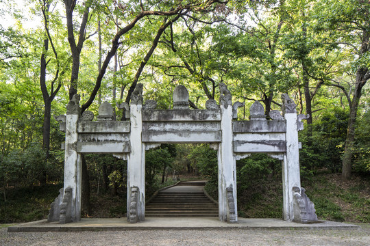 灵谷寺岁寒三友广场石雕和挂龙松