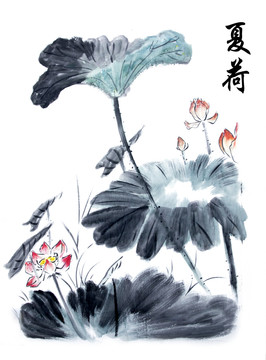 水墨畫荷花