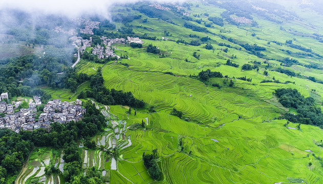 元阳梯田