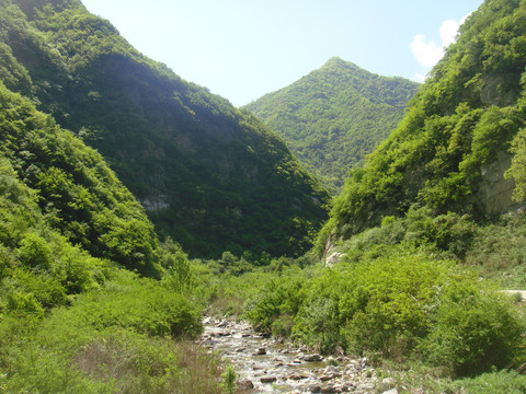 岱峪