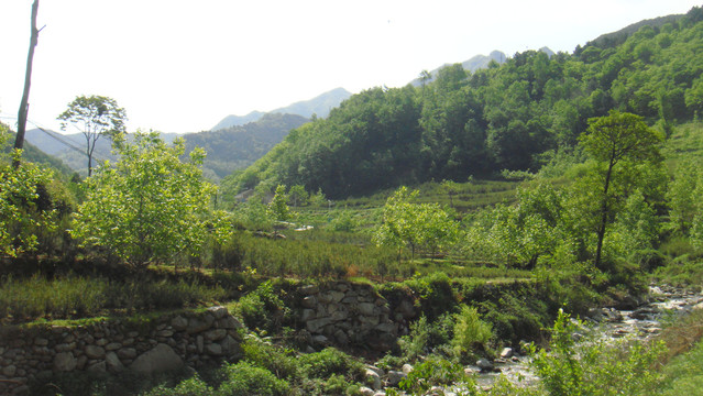 蓝田的山村