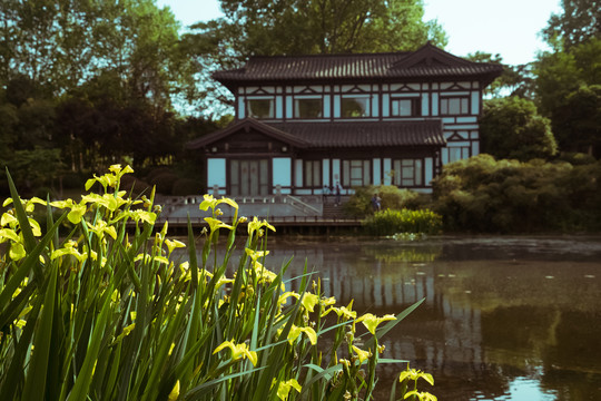 建筑复古黄色鸢尾花湖水边