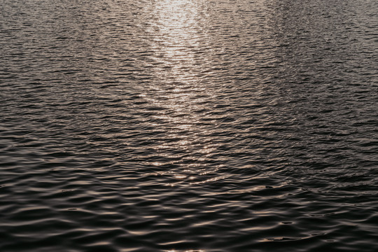 阳光洒在湖面水面上