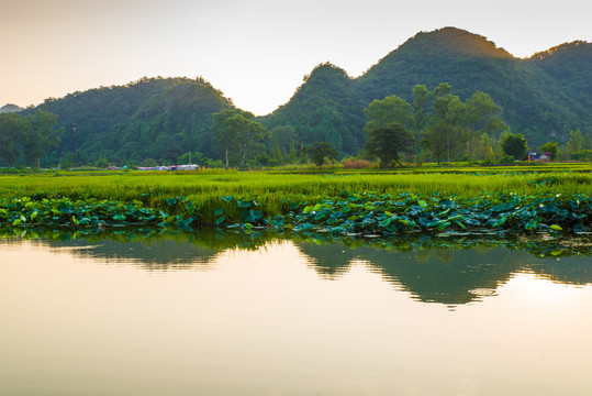 田园山水