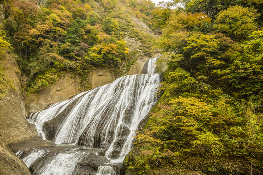 日本秋天的福罗达瀑布