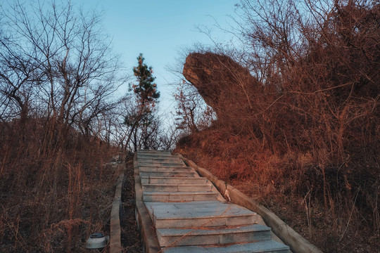 山路风光