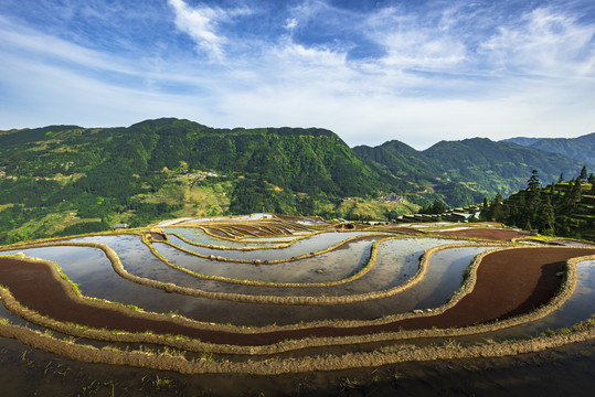 贵州加榜梯田