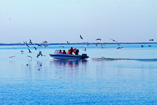 海上冲浪C