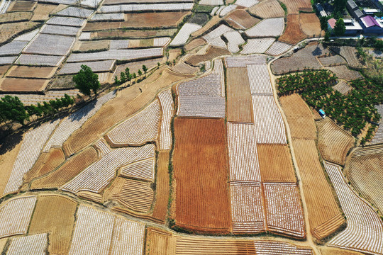 山乡梯田