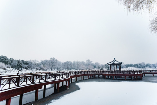 下雪的美景