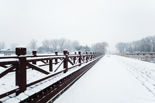 下雪的景观效果