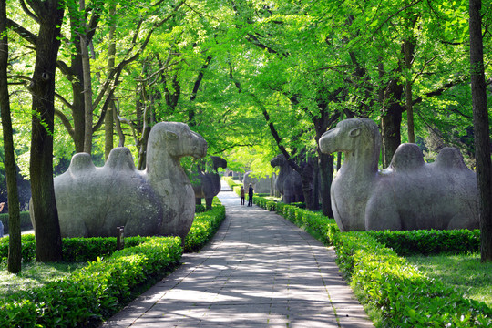 明孝陵石象路