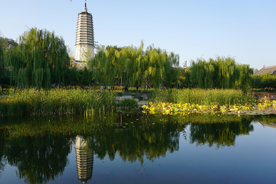 沈阳塔湾舍利塔公园的景色