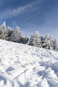 内华达山脉滑雪胜地