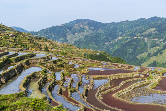 贵州加榜梯田