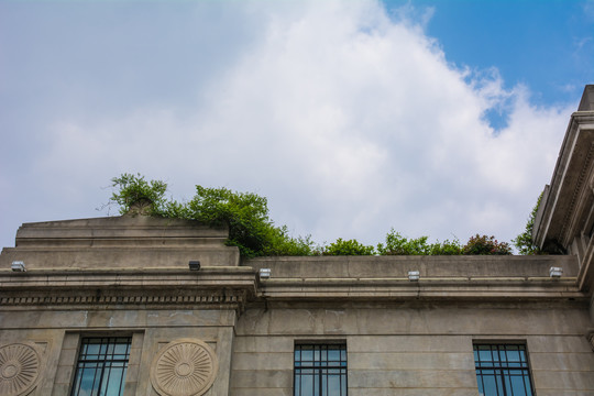 老建筑楼顶绿色植物