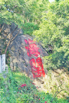 福州乌山风景