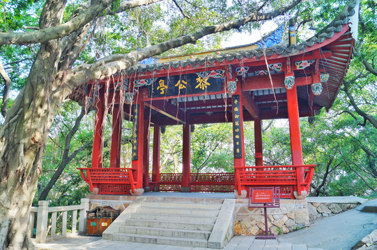 福州乌山风景