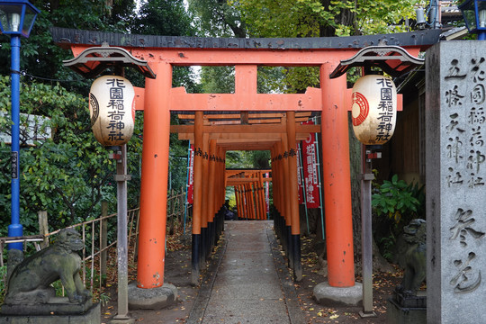 日本东京稻荷神社鸟居