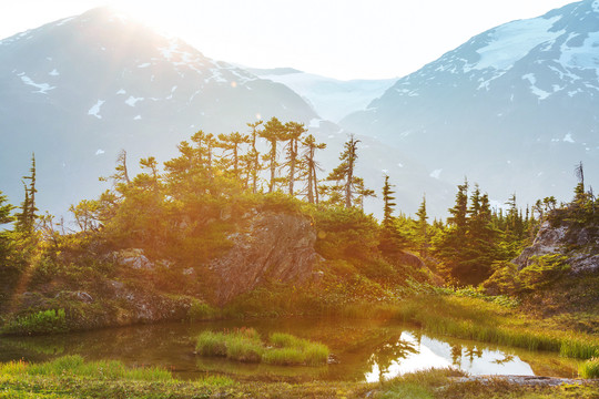 夏季加拿大落基山脉的山景