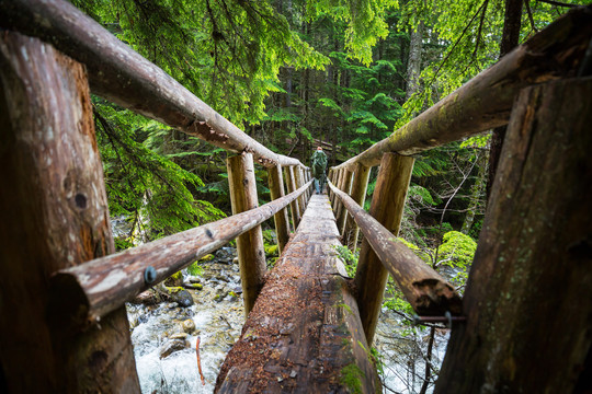 山溪上的木桥