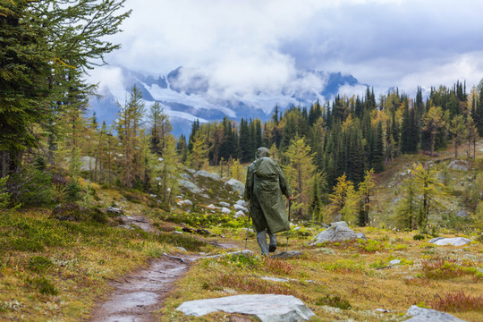 在秋山上徒步旅行