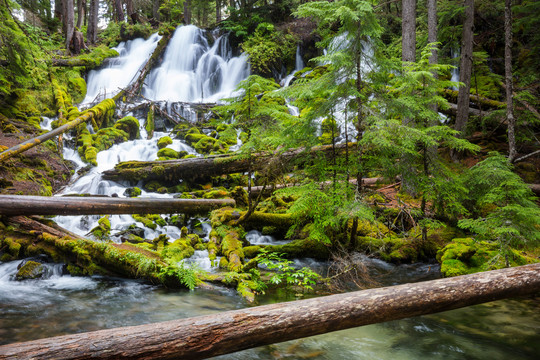 美丽的绿色森林中的瀑布
