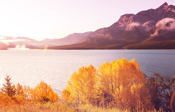 加拿大山区美丽的秋天