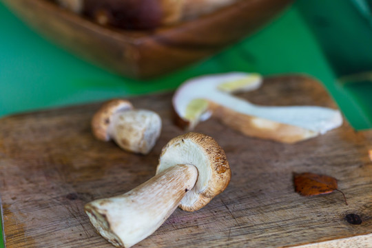 秋天厨房里的可食用蘑菇。