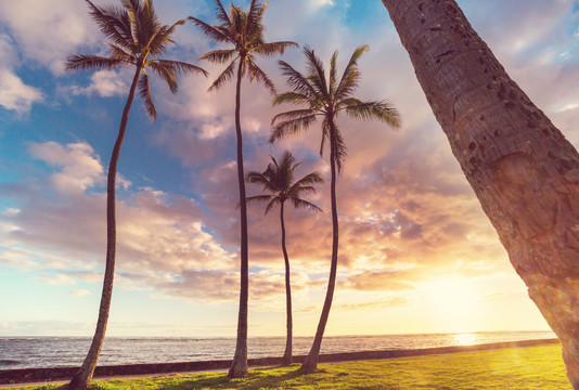 夏威夷海滩的日落