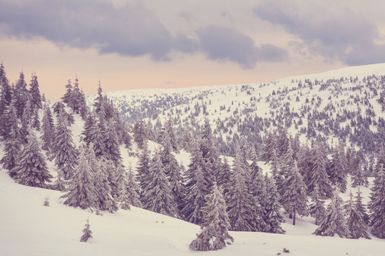 风景如画的雪山